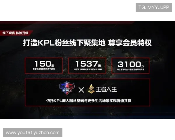 海星体育线上官方入口赛事数据实时更新与分析功能详解提升观赛体验